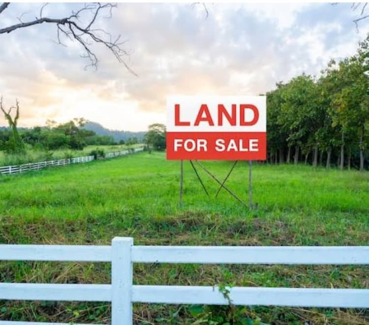 Land for sale