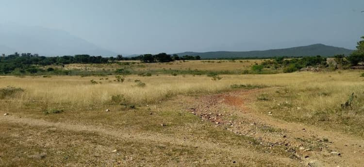 Agri Land For Sales