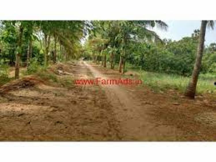 farm land for sale