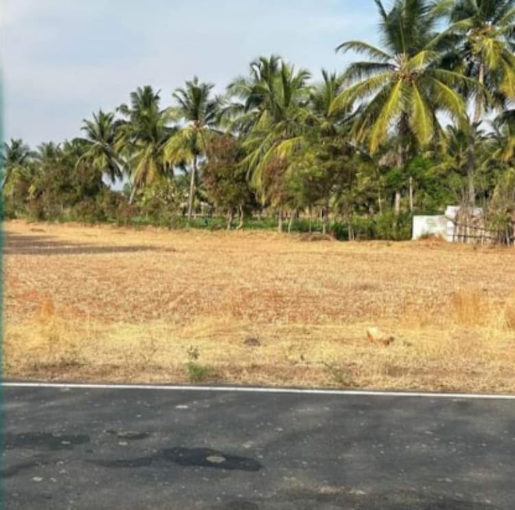 Farm Land for Sale