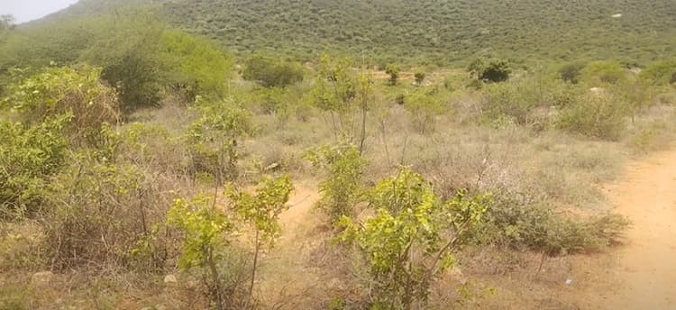 Low Budget Empty Land for Sale