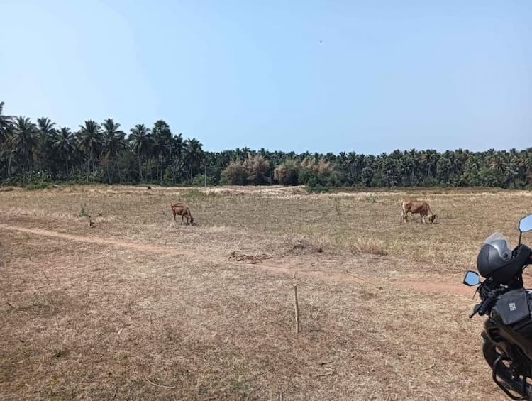 LAND FOR SALE