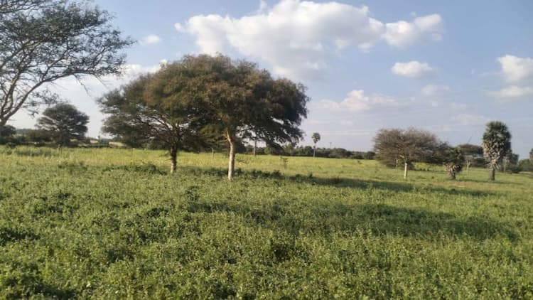 agri mt land sale suriya Nallur area 