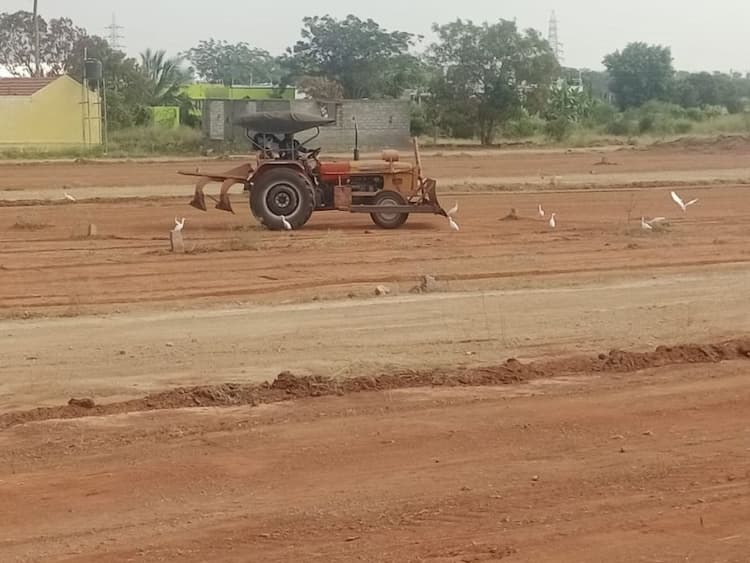 site for sale