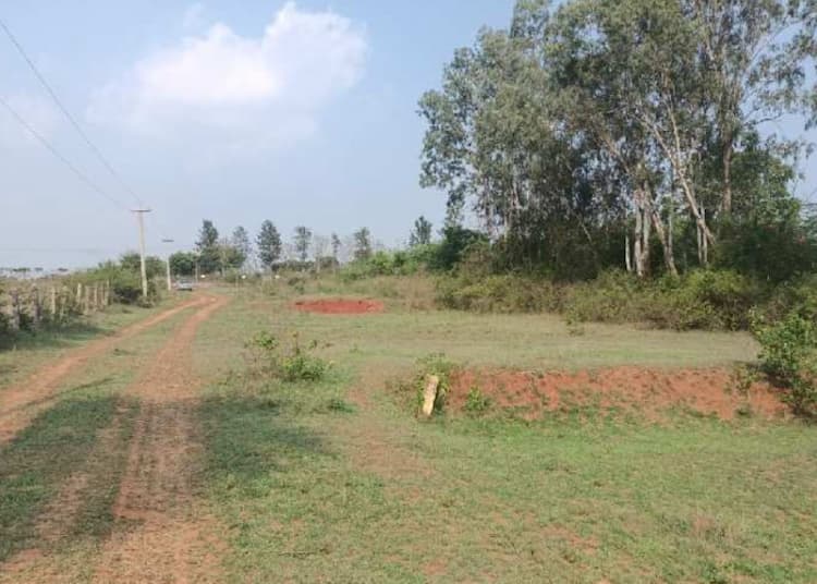 Single Property Image