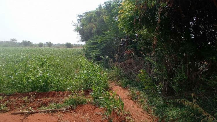 Single Property Image