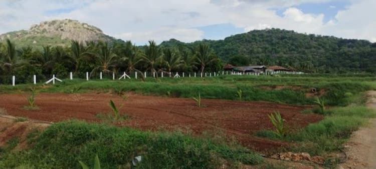 Single Property Image