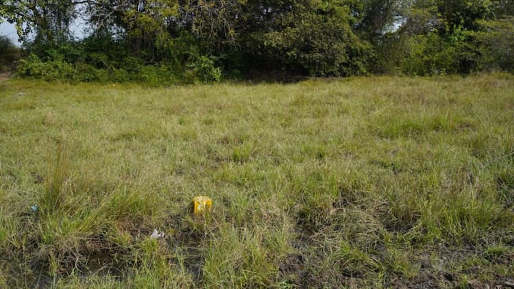 Single Property Image