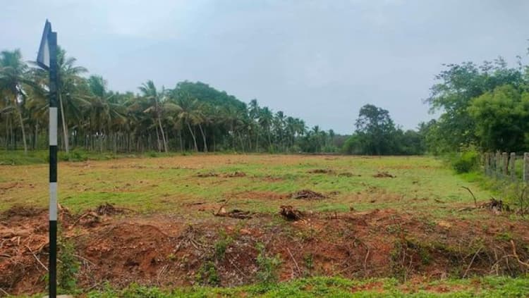 Land for Sale