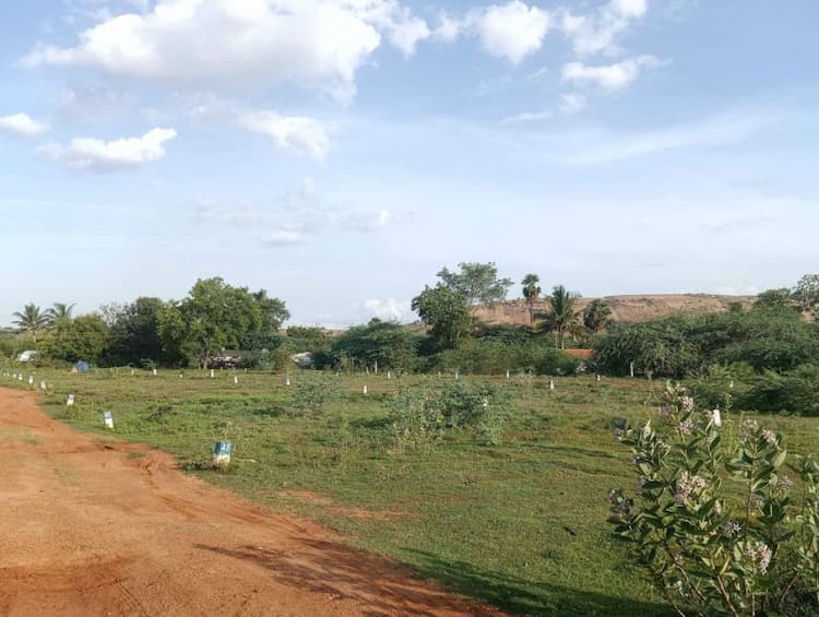 Plot sale