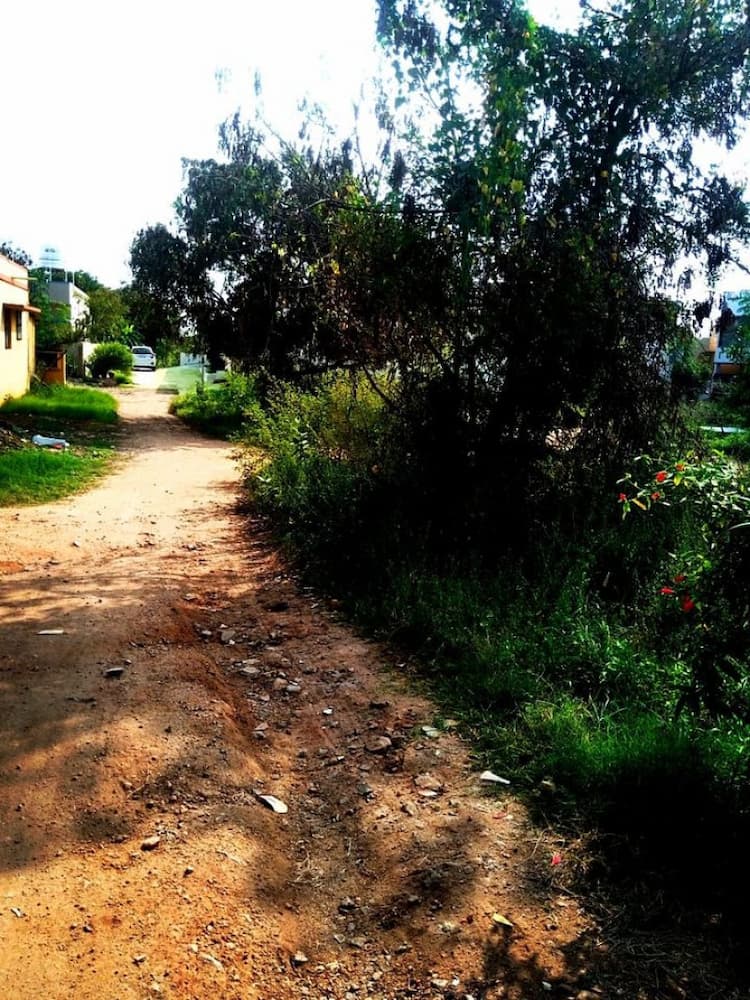 Single Property Image