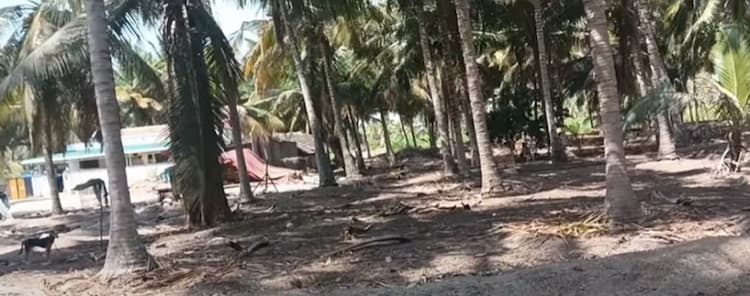 Land with Farm House for Sale
