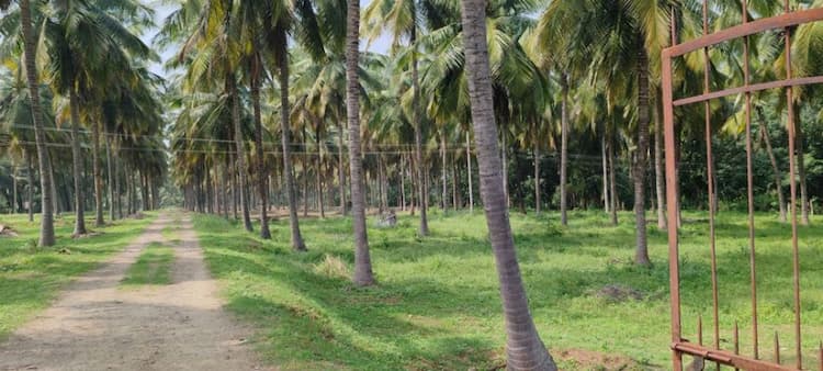 Single Property Image