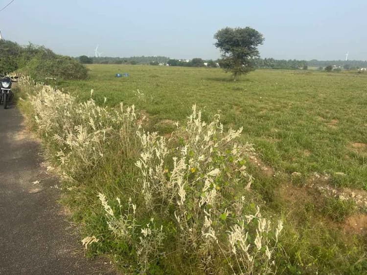 5 Acre Land for Sale