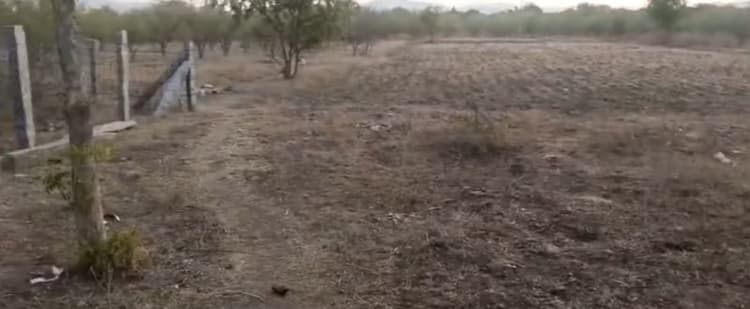 Low Budget Land for Sale