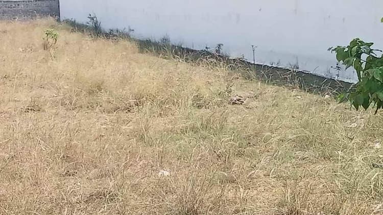 Punjai Land for Sale