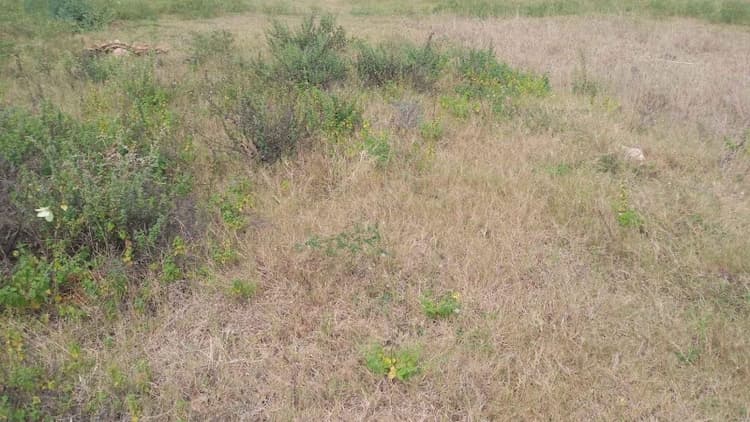 4.75 Acre Land for Sale