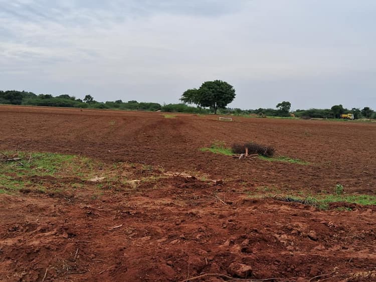 2 acres of red land for sale in Marudhakudi