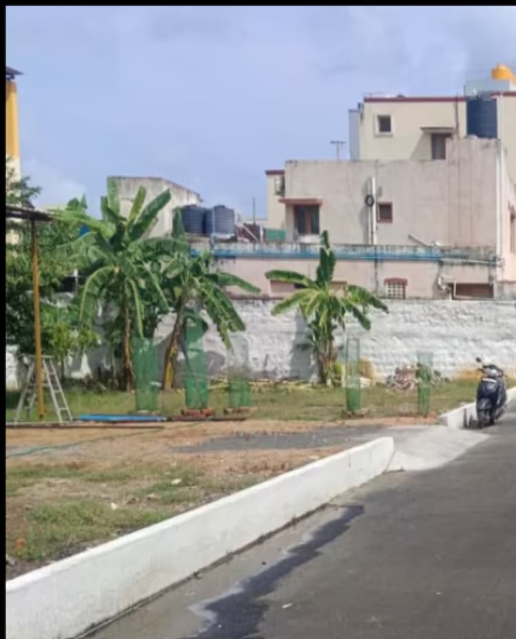 Land for sales