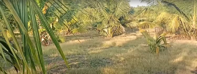 2 Acre Land for Sale