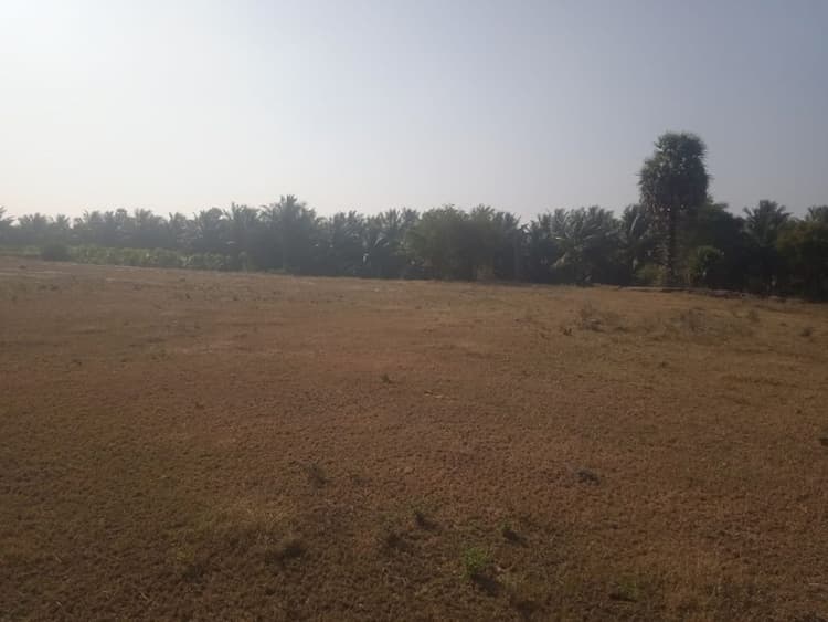agri land for sale