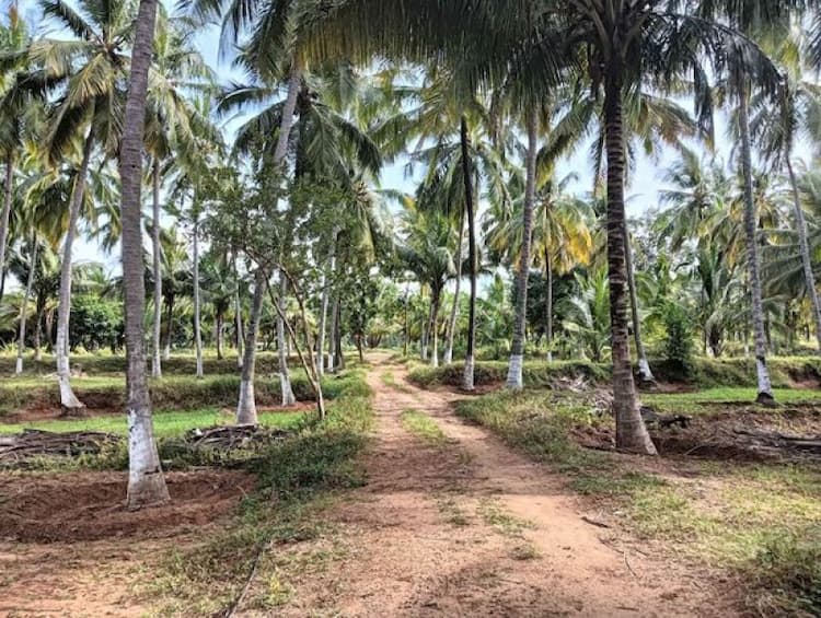 Single Property Image