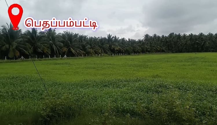 Single Property Image