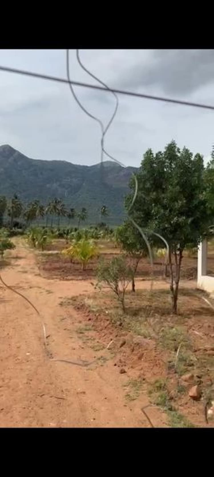 Land with Farm House for Sale