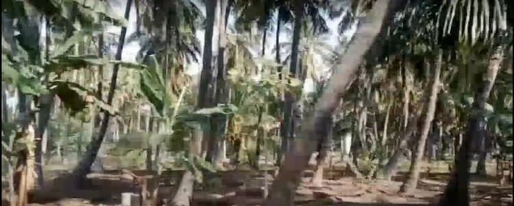 2.50 Acre Land for Sale