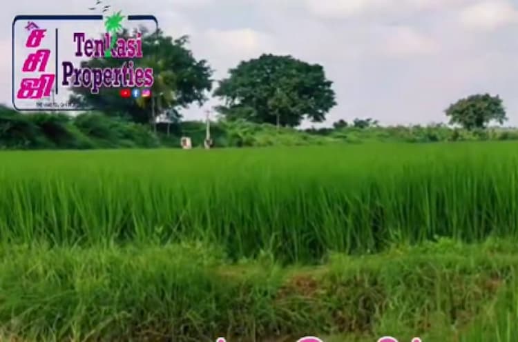 1.28 Acre land for sales