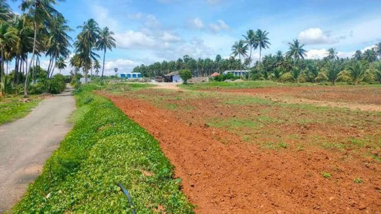 Land for Sale