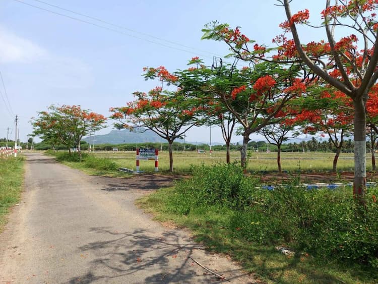 Single Property Image