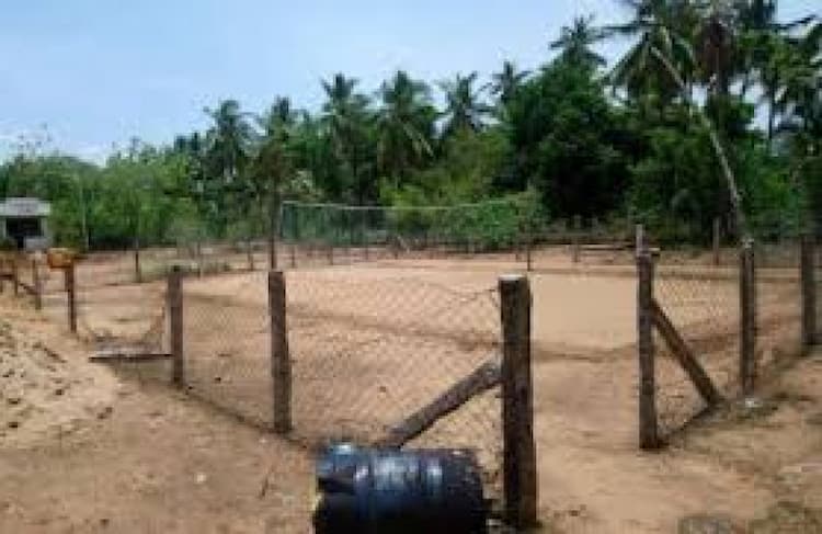 Plot sale