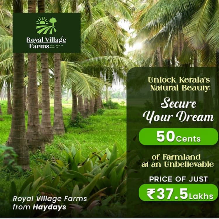 Royal Village Farms for Sales
