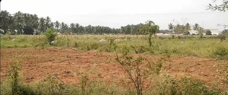 2.37 Acre Land for Sale