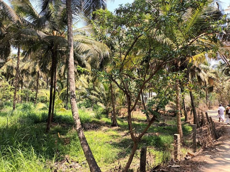 Single Property Image