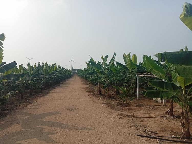 8.50 Acre Land for sale