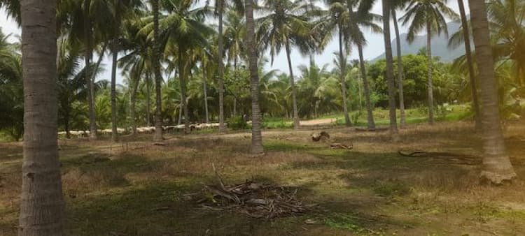 Single Property Image