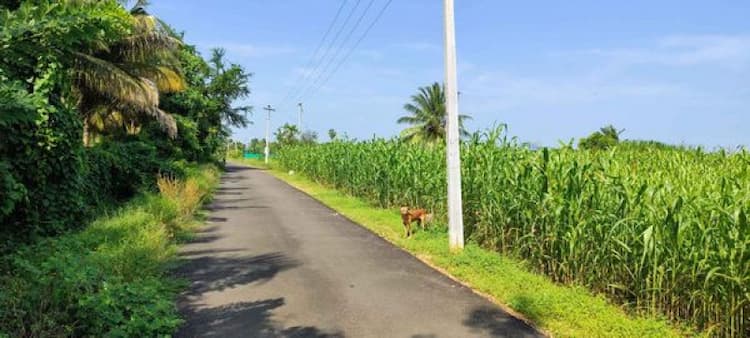 Single Property Image