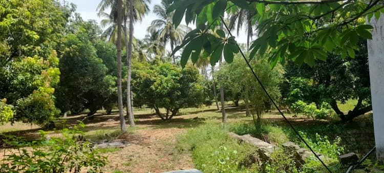 10 acre Coconut & Mango Farm For Sale