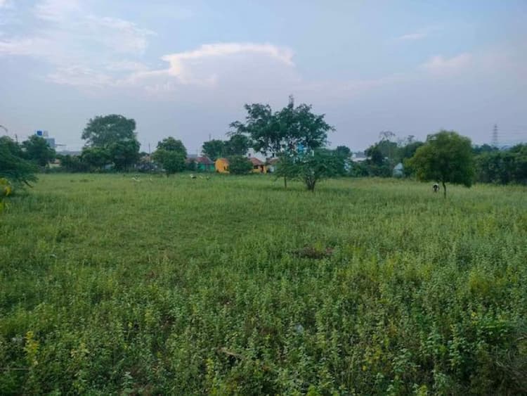Residential Plot For Sale