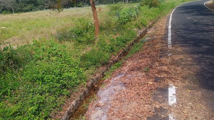 1.50 Acre Farm Land for Sale