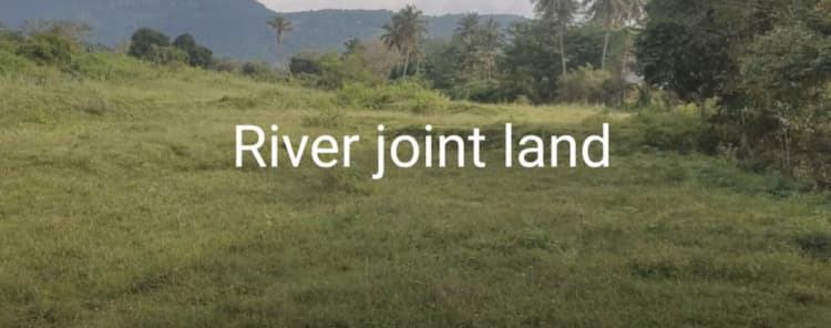 6 Acre river joint agriculture land for sale
