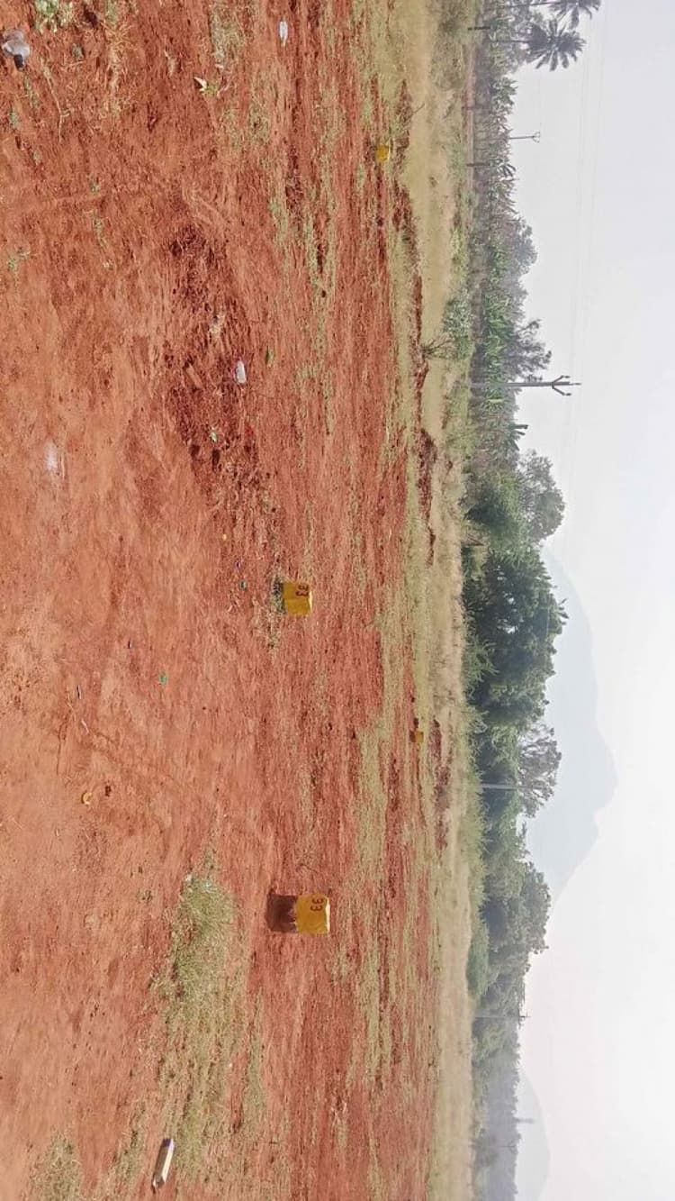 site for sale