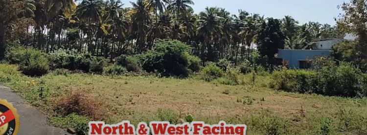 5 Cent plot for sales