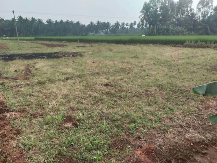 2.60 Acers for sales