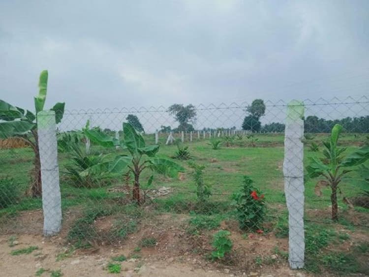 Single Property Image