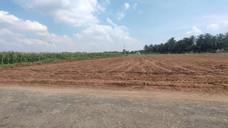 Single Property Image