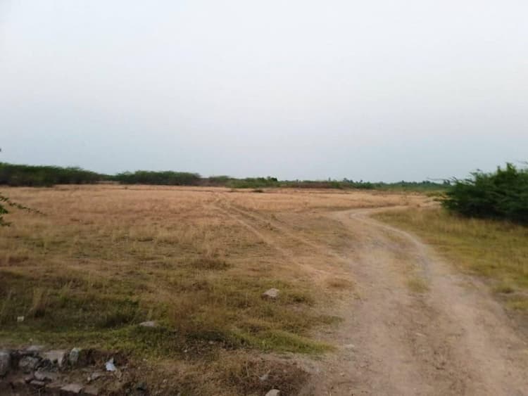 Plot sale