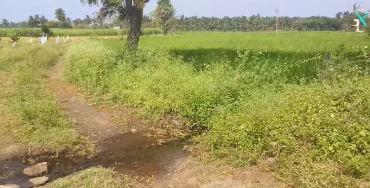 Farm Land for Sale